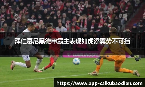 香港彩库宝典官方app